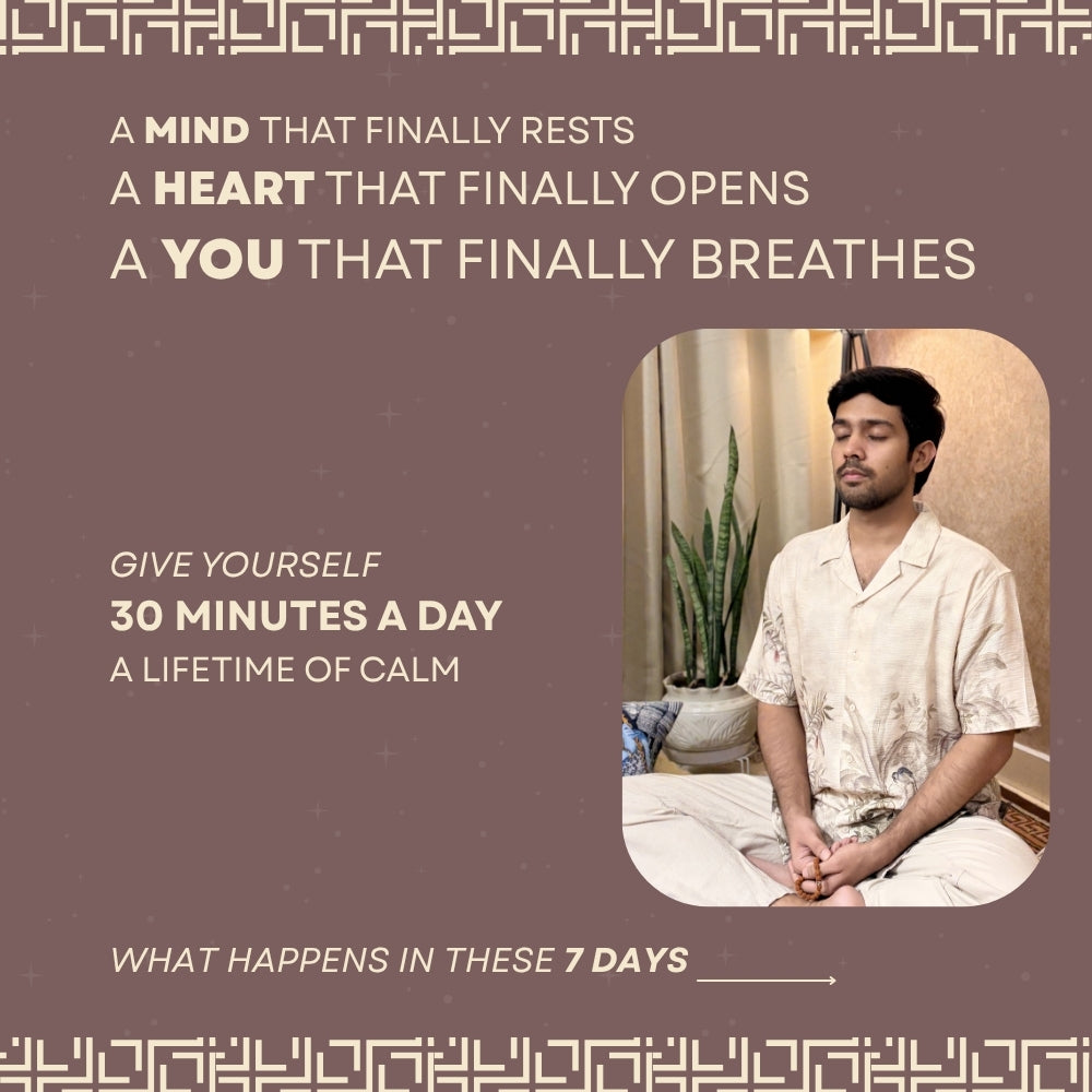 Recenter Your Spirit: A 7 Day Journey from Static to Stillness
