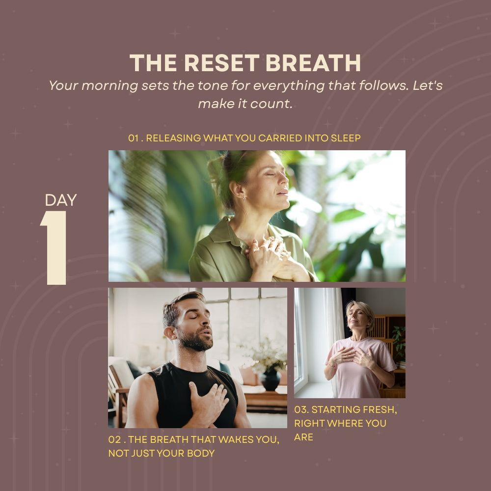 Recenter Your Spirit: A 7 Day Journey from Static to Stillness
