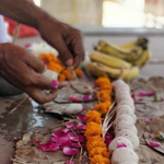 Perform Gaya Ji Pind Daan on Jyeshtha Amavasya