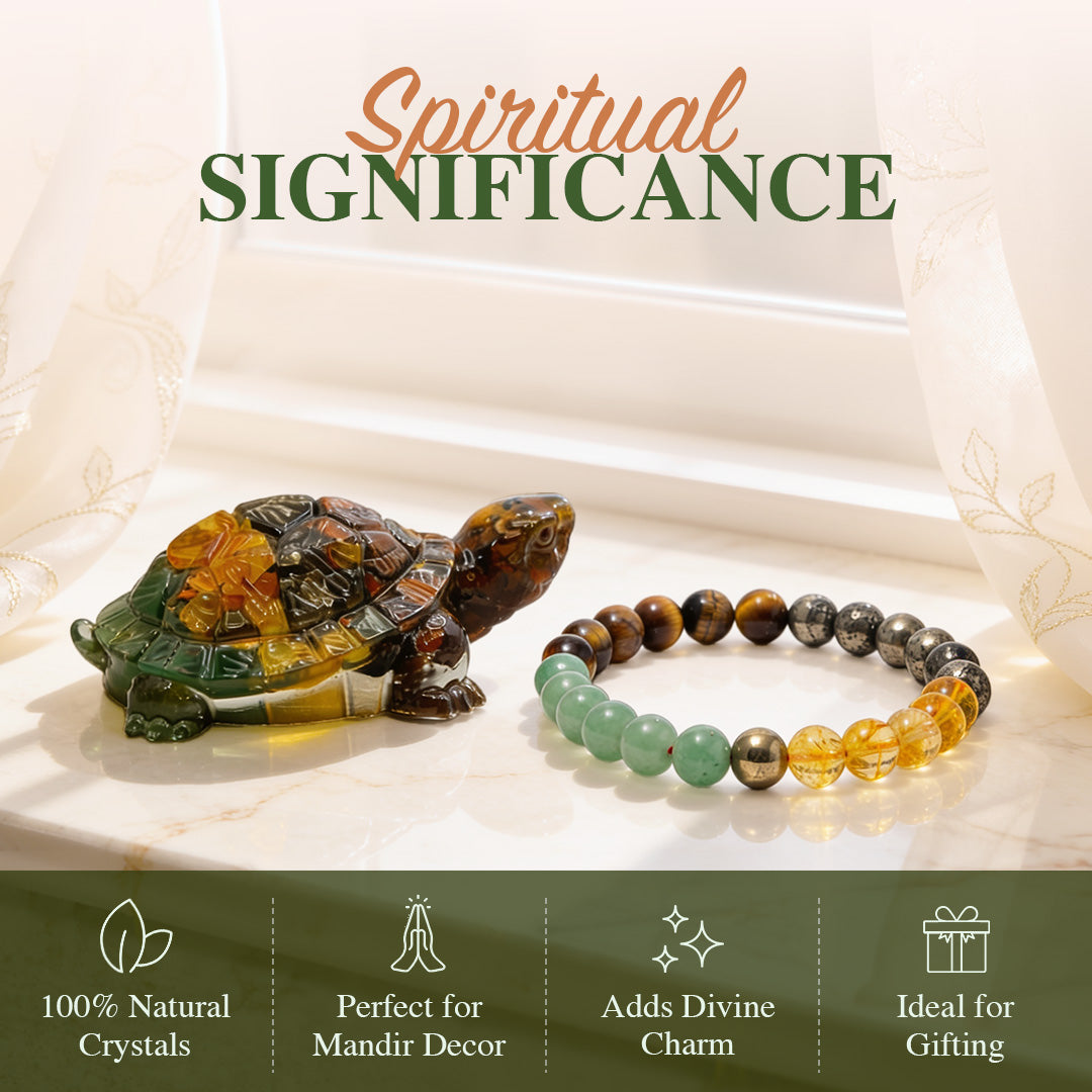 Dhan Varsha Combo ( Money Magnet tortoise + Money Magnet bracelet )