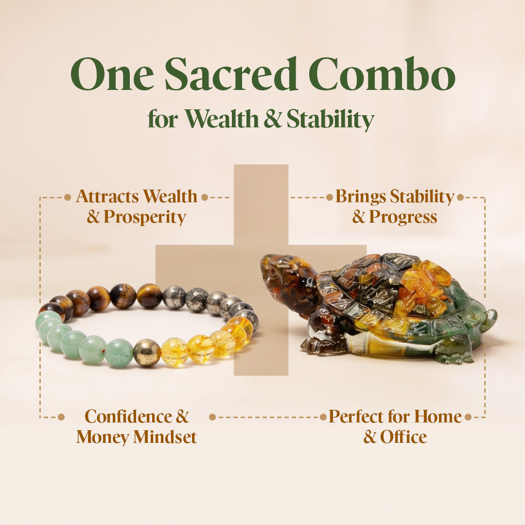 Dhan Varsha Combo ( Money Magnet tortoise + Money Magnet bracelet )