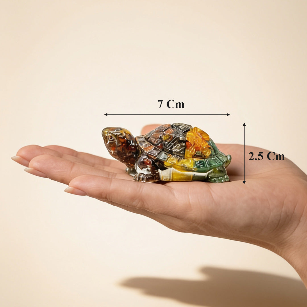 Money Magnet Tortoise