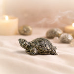 Pyrite Tortoise
