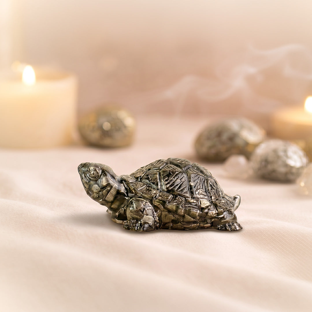 Pyrite Tortoise
