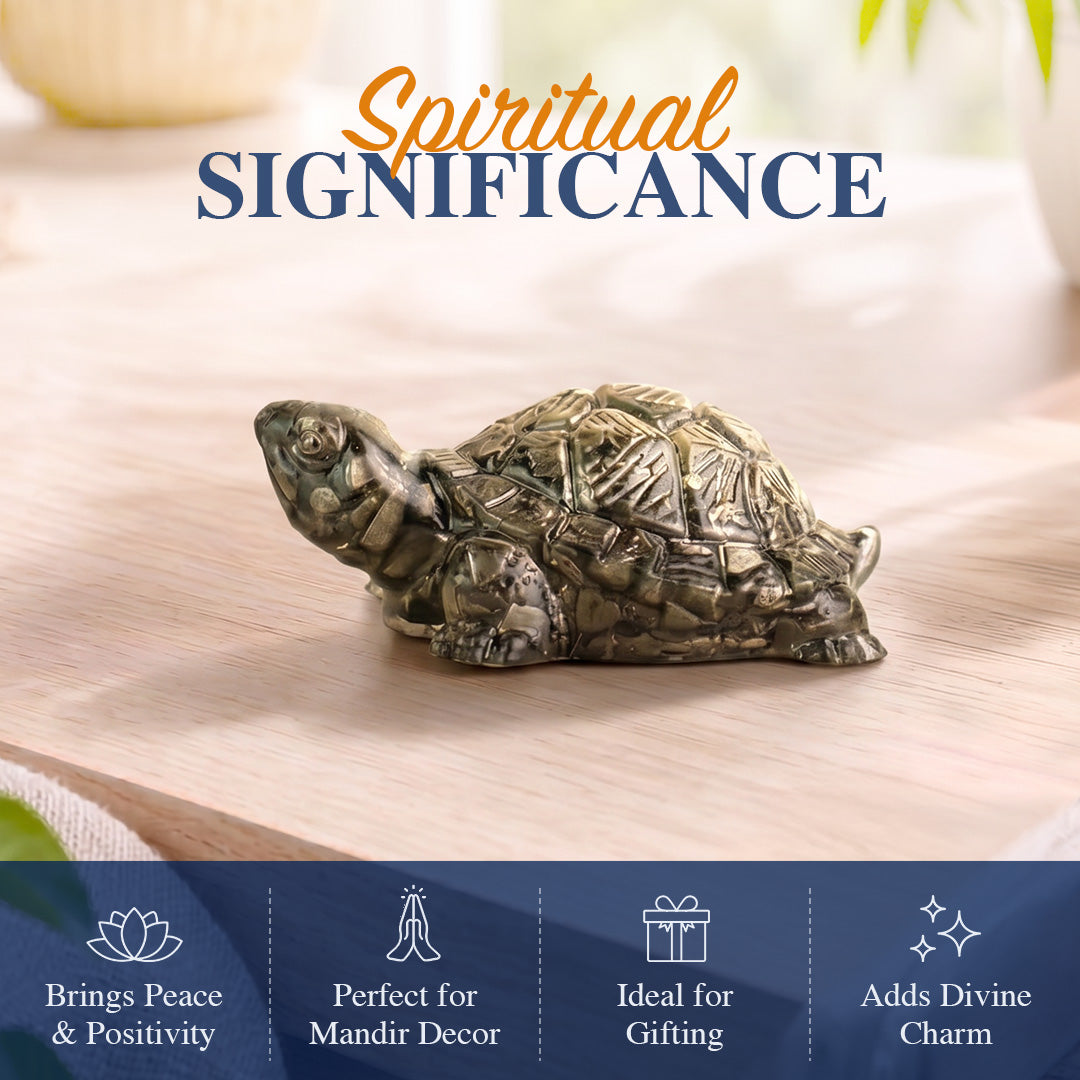 Pyrite Tortoise