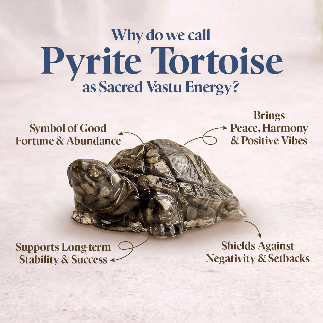 Pyrite Tortoise