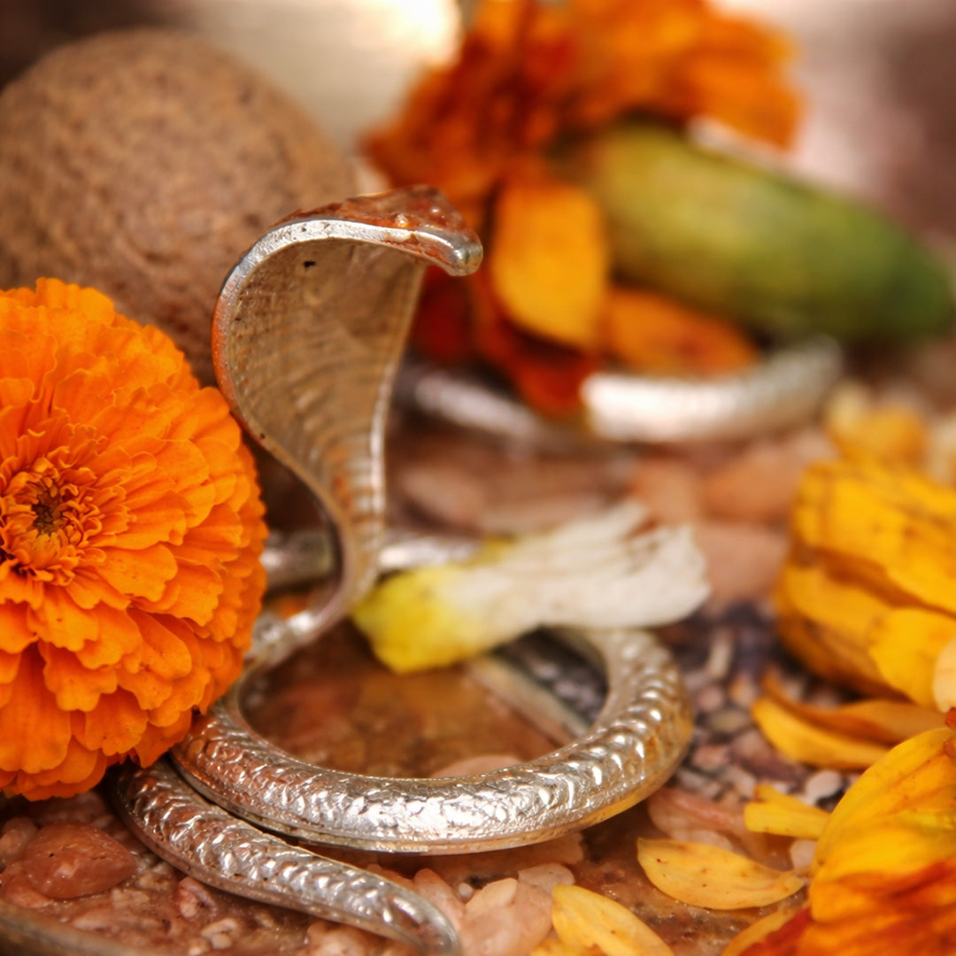Kaal Sarp Dosh Nivaran Mahapuja – Angareshwar Mahadev, Ujjain