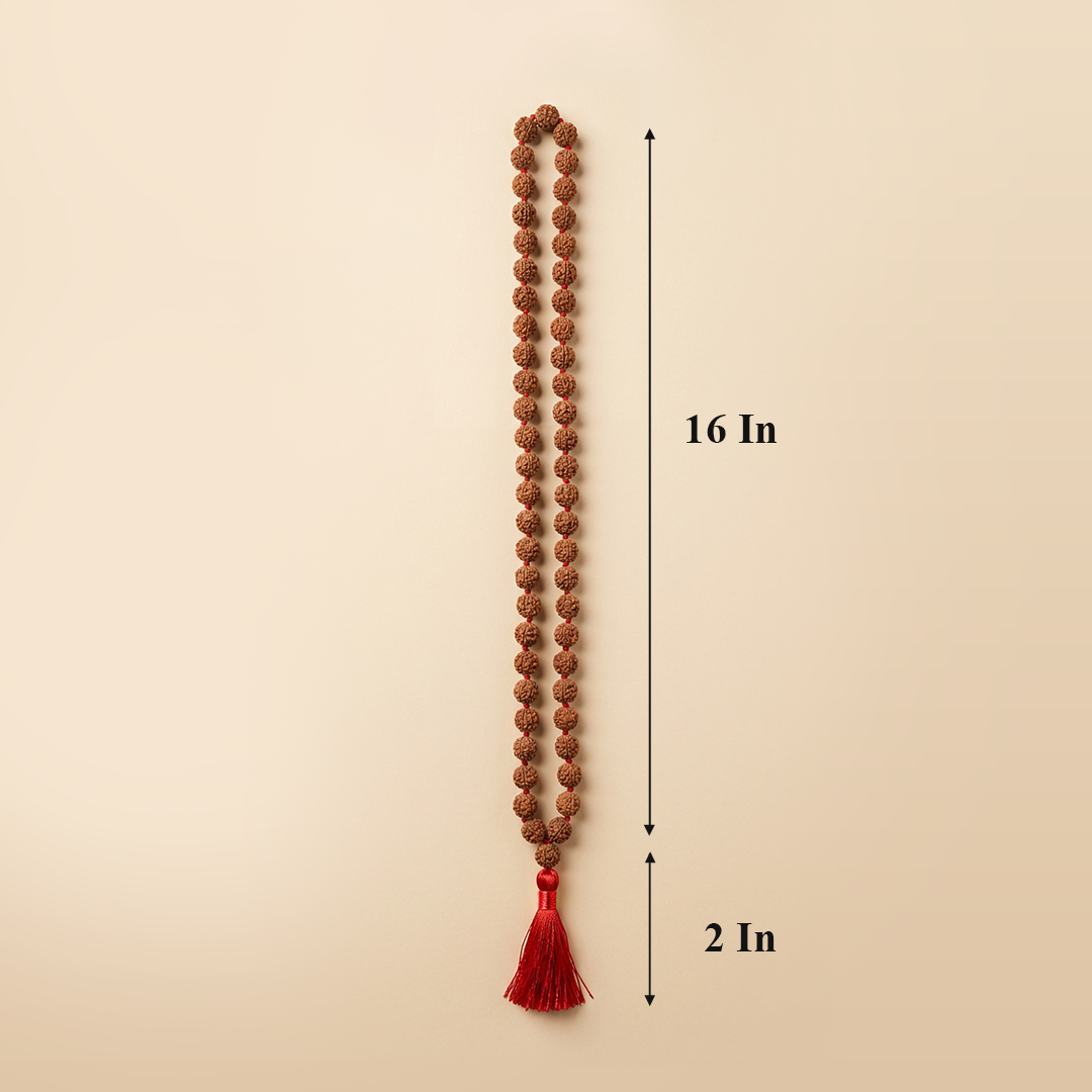5 Mukhi Rudraksh Mala 54 Beads