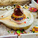 Vijay Rudrabhishek- Mrityunjay Mahadev Mandir