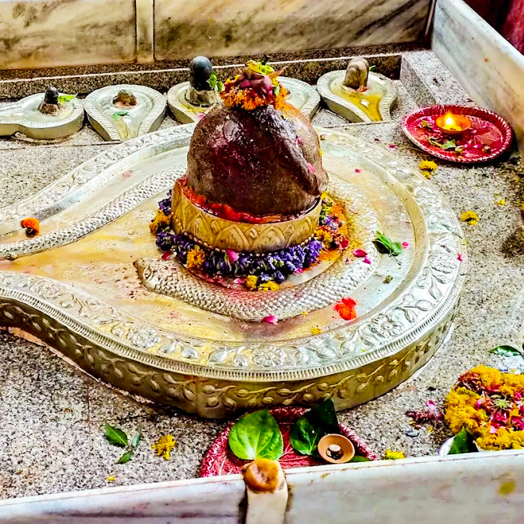 Vijay Rudrabhishek- Mrityunjay Mahadev Mandir