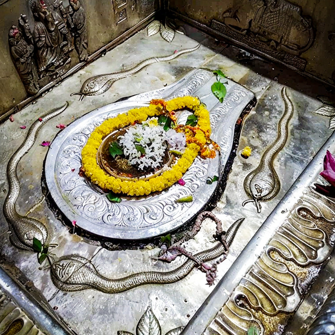 Vijay Rudrabhishek- Mrityunjay Mahadev Mandir