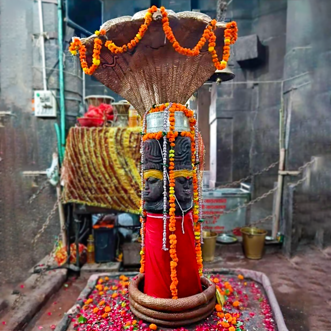 Durga Saptashati Paath & Havan on the Sacred Saptami Tithi – Maa Mundeshwari Temple, Bihar