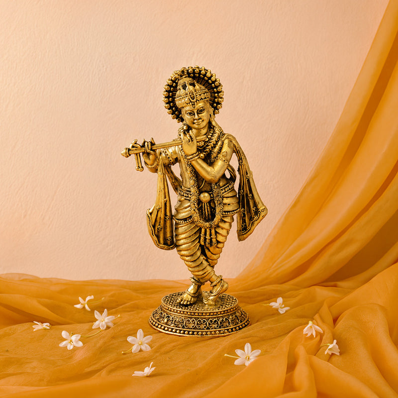 Shri Krishna Murti