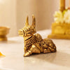 Nandi Bail 3"