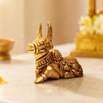 Nandi Bail 3"