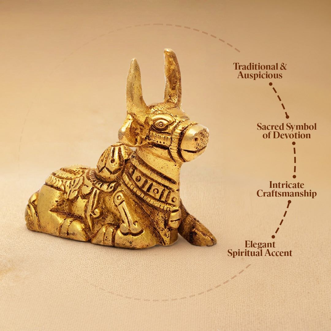 Nandi Bail 3"