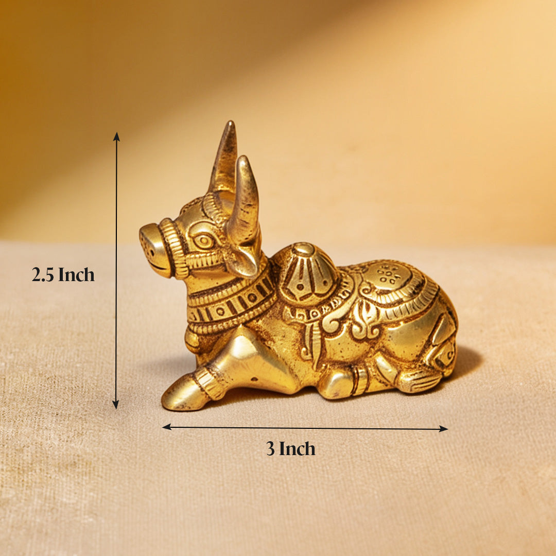 Nandi Bail 3"