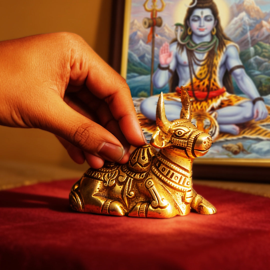Nandi Bail 3"