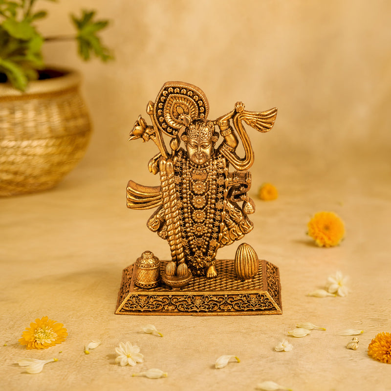 Shreenathji