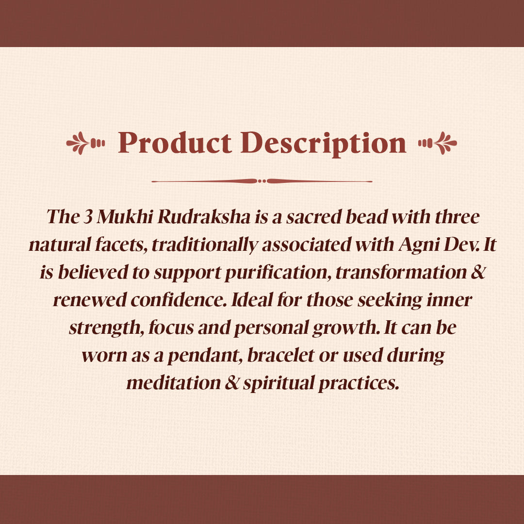 3 Mukhi Rudraksh Beads